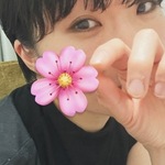 サクラです🌸