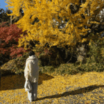 紅葉!