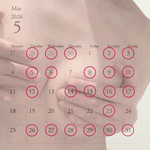 5月の予定🌸