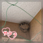 かわいすぎる❤️
