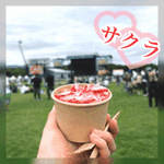 サマソニ❣️