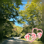 おはよう☀️