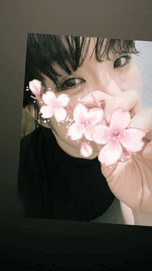 サクラです🌸