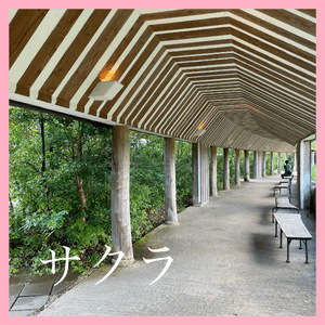 ラ コリーナ♡