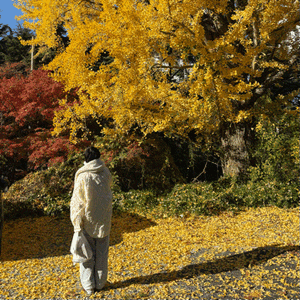 紅葉！