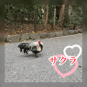 今年もありがとうございました