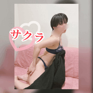 ご案内状況