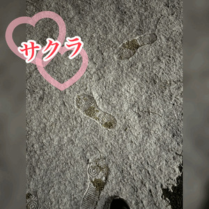 足跡❤️