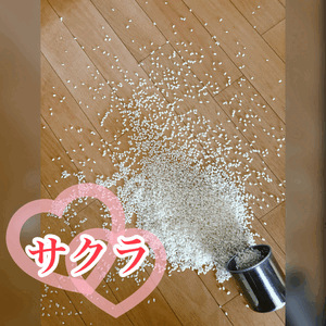 あちゃー