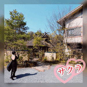 方向音痴(激しいタイプ)
