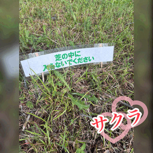 いくつになっても❤️