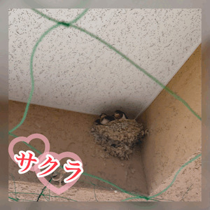 かわいすぎる❤️