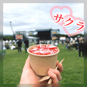 サマソニ❣️