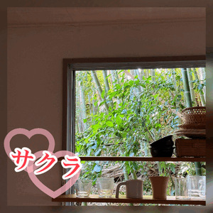 自然💓