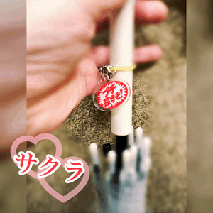 絶対盗られない