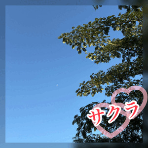 １０月も💓