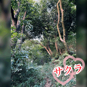 お気に入りを紹介❣️