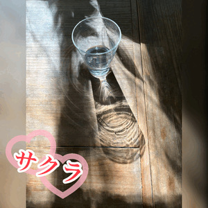 無知すぎる？