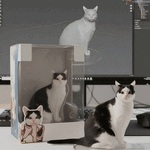 やっほ