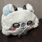 こんばんわんつー