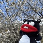 明日はゴルフだ