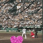 こんにちわん