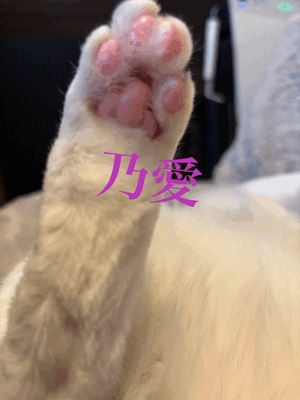やっときたか
