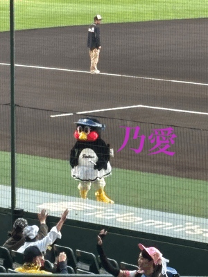 こんにちわんわん