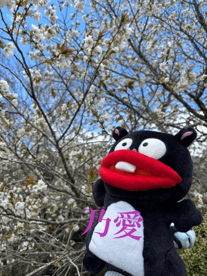 楽しかったー