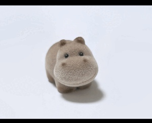 こんばんわん