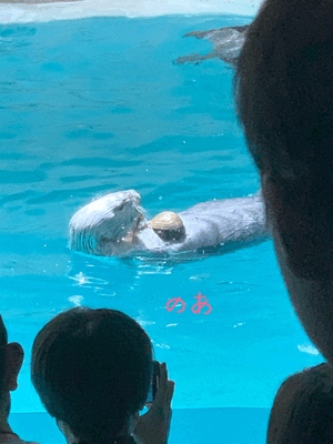 こんばんわ