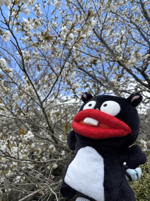 おやすみー
