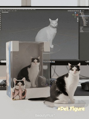 やっほ