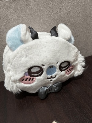 こんばんわんつー
