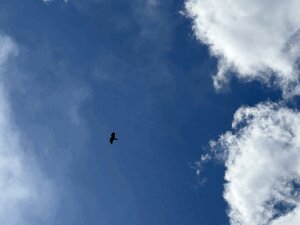 おはようございます🌞