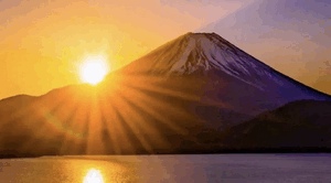今年も宜しくね🩷
