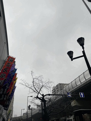 おはようございます☔️
