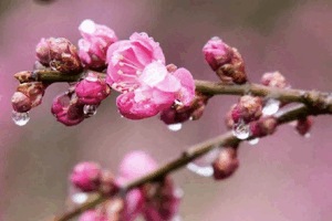 おはようございます☔️
