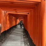 明日出勤