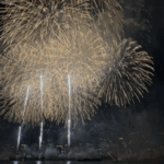 大好きな花火