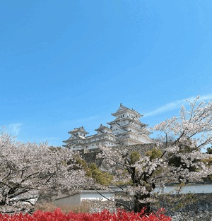 春になったら