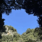 元気チャージ