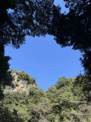 元気チャージ
