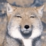 休日が消えた日