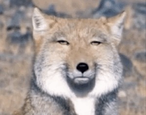 休日が消えた日